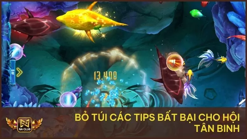 Bỏ túi các tips bất bại cho hội tân binh