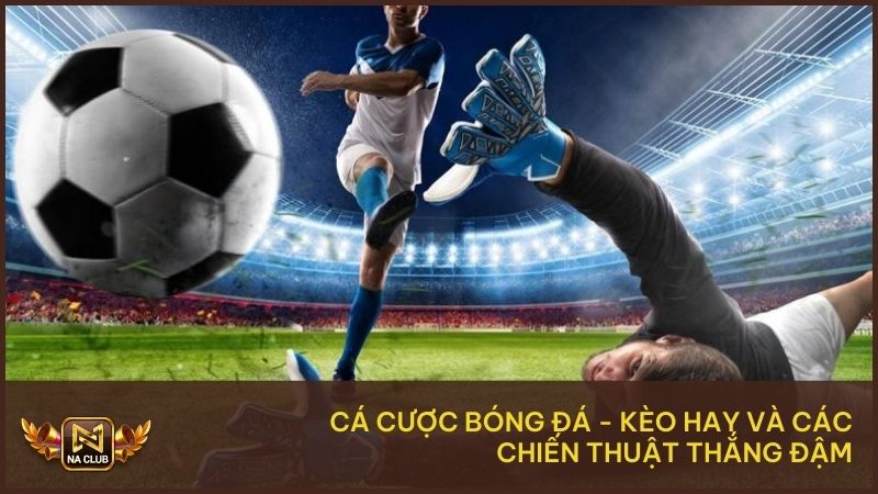 Cá Cược Bóng Đá - Kèo Hay Và Các Chiến Thuật Thắng Đậm 1 Cá Cược Bóng Đá – Kèo Hay Và Các Chiến Thuật Thắng Đậm