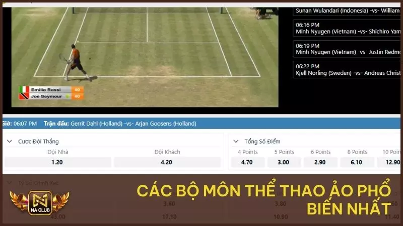 Các bộ môn thể thao ảo phổ biến nhất