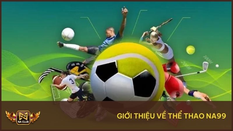 Thể Thao NA99 - Tham Gia Cá Cược Bóng Đá Hấp Dẫn Mỗi Ngày 4 Tìm hiểu thông tin đôi nét về thể thao NA99