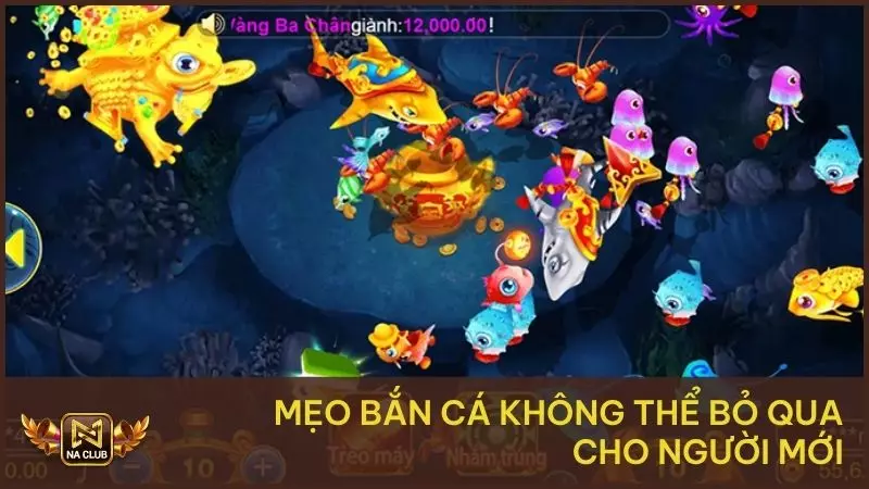 Mẹo bắn cá không thể bỏ qua cho người mới